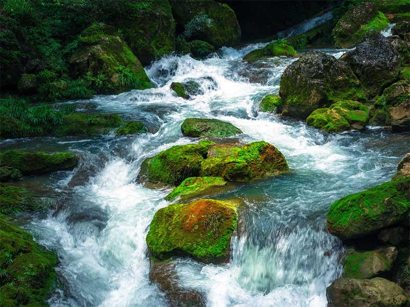水質檢測總氮標準