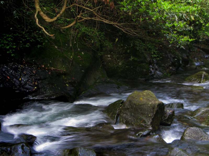 氨氮在線監測儀原理
