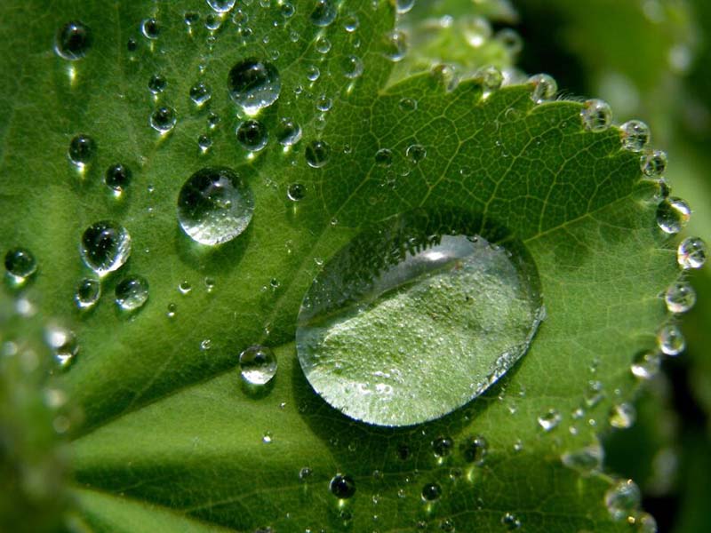 什么是水質氨氮