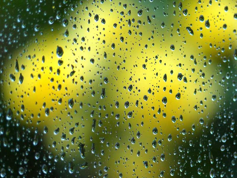 水質(zhì)微生物檢測指標有哪些