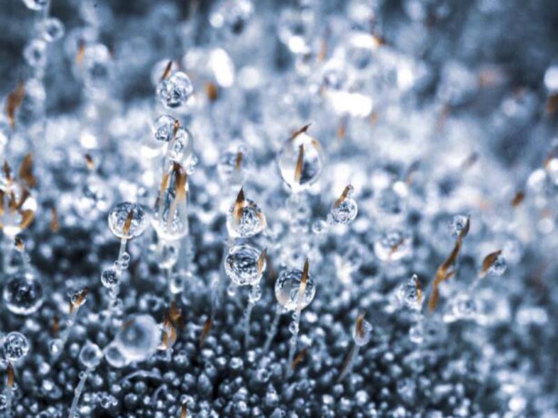 氨氮自動監測儀廢液主要成分