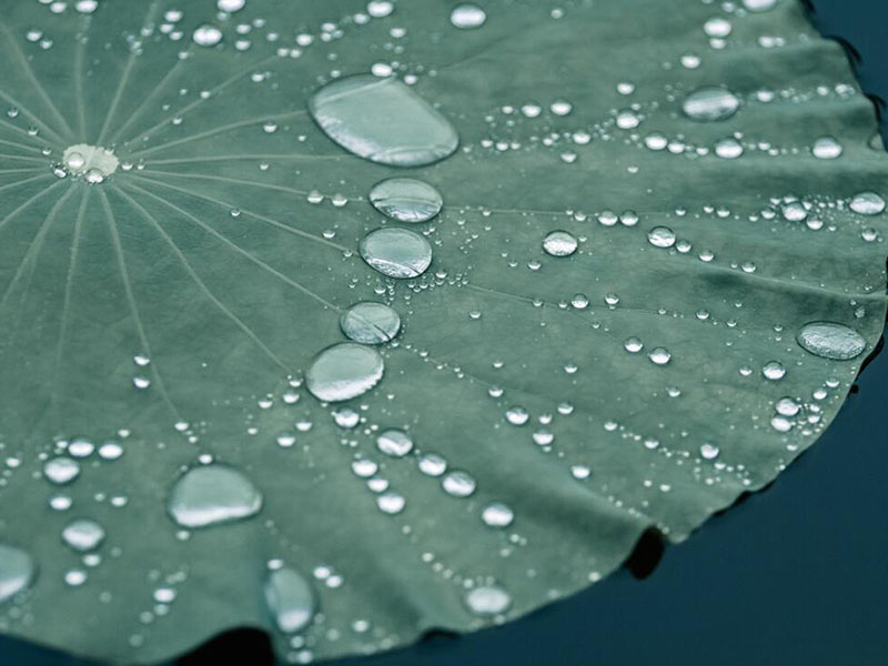 水質微生物檢驗的基本原理