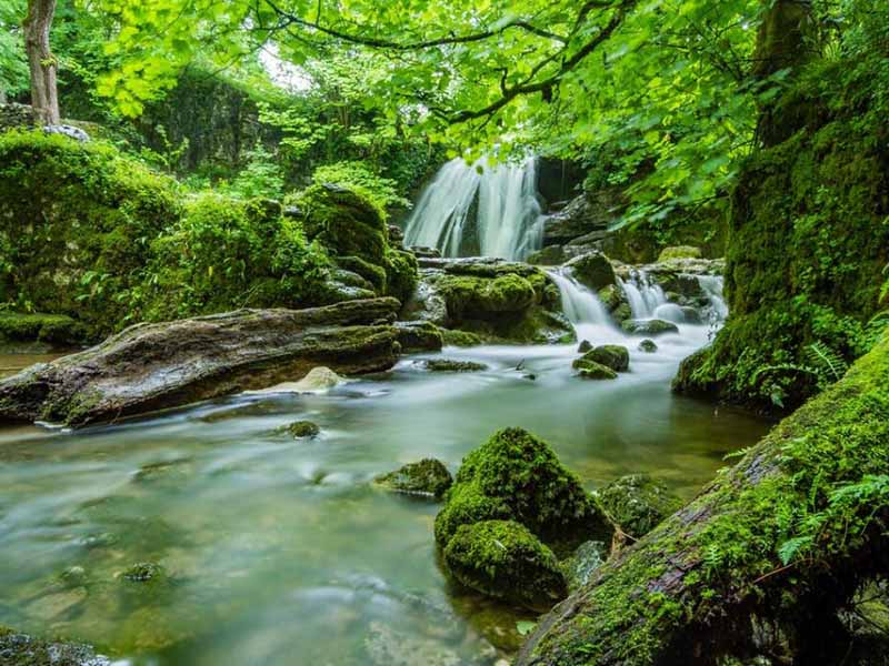 總氮和氨氮有什么關系